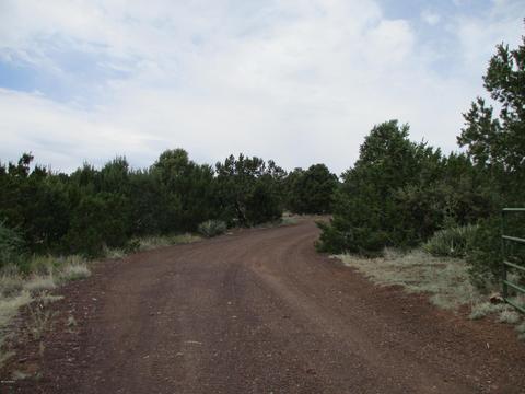 2980 E Calico Ave, Williams, AZ 86046 photo 33