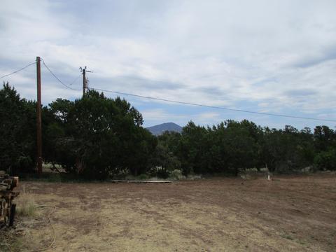 2980 E Calico Ave, Williams, AZ 86046 photo 32