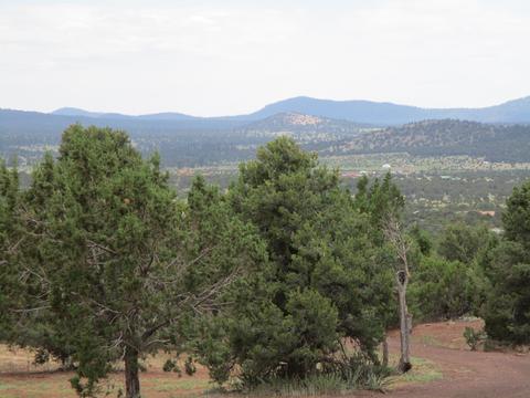 2980 E Calico Ave, Williams, AZ 86046 photo 24