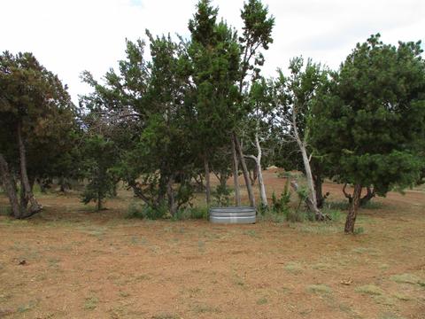 2980 E Calico Ave, Williams, AZ 86046 photo 29