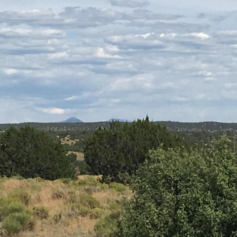 10393 S Doubletree Rd, Williams, AZ 86046 photo 7