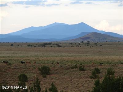 10393 S Doubletree Rd, Williams, AZ 86046 photo 1