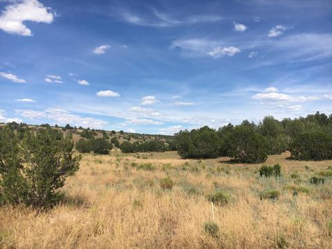 10393 S Doubletree Rd, Williams, AZ 86046 photo 4