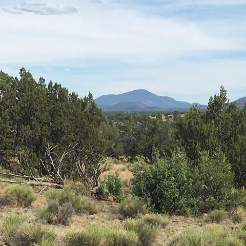 10393 S Doubletree Rd, Williams, AZ 86046 photo 8