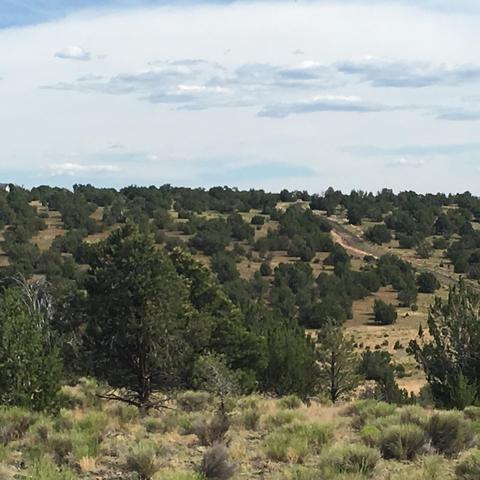 10393 S Doubletree Rd, Williams, AZ 86046 photo 10