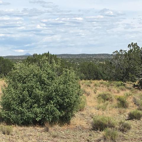 10393 S Doubletree Rd, Williams, AZ 86046 photo 9