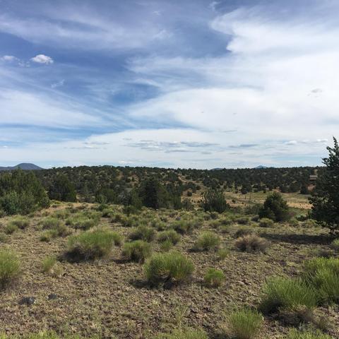 10393 S Doubletree Rd, Williams, AZ 86046 photo 5