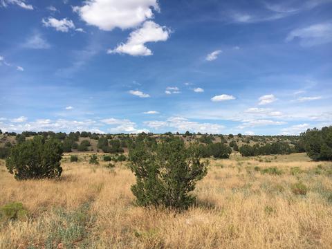 10393 S Doubletree Rd, Williams, AZ 86046 photo 3