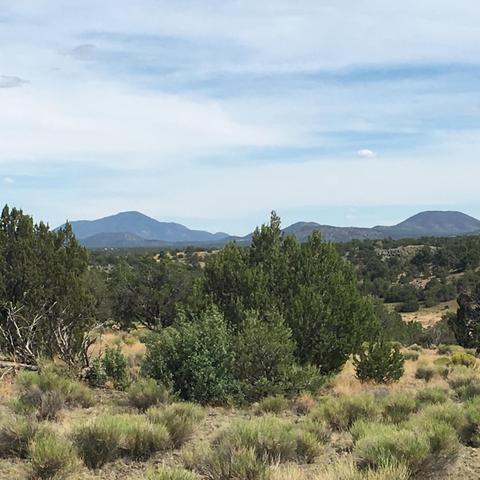 10393 S Doubletree Rd, Williams, AZ 86046 photo 6