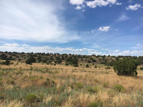 10393 S Doubletree Rd, Williams, AZ 86046 photo 2