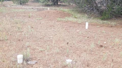 2434 E Clear Point Way, Williams, AZ 86046 photo 9