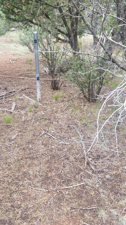 2434 E Clear Point Way, Williams, AZ 86046 photo 7