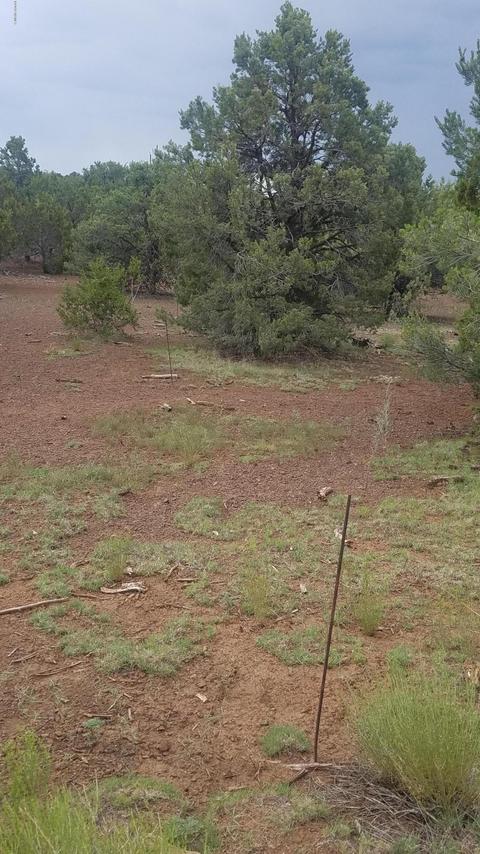 2434 E Clear Point Way, Williams, AZ 86046 photo 5