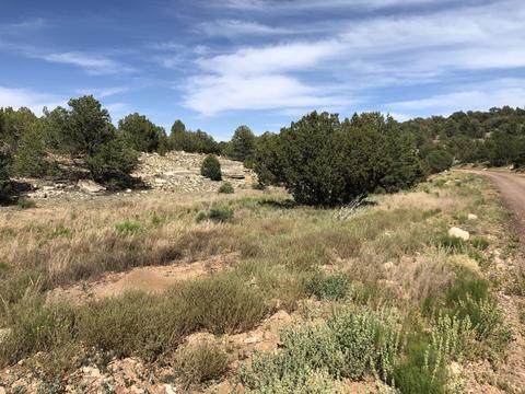8143 W Red Bluff Rd, Williams, AZ 86046 photo 4