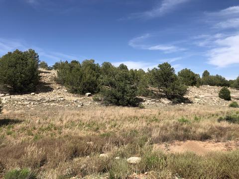 8143 W Red Bluff Rd, Williams, AZ 86046 photo 5