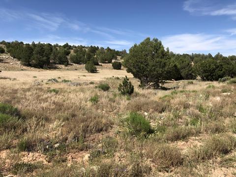 8143 W Red Bluff Rd, Williams, AZ 86046 photo 1