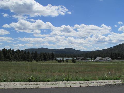 219 Trilogy Dr, Williams, AZ 86046 photo 5