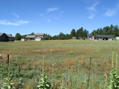 219 Trilogy Dr, Williams, AZ 86046 photo 6
