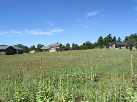 219 Trilogy Dr, Williams, AZ 86046 photo 8