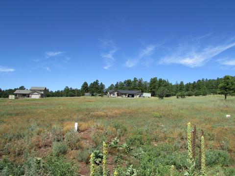 219 Trilogy Dr, Williams, AZ 86046 photo 7