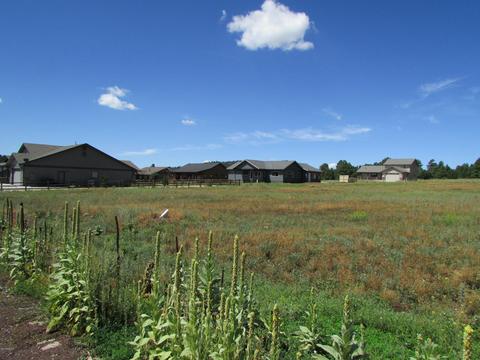 219 Trilogy Dr, Williams, AZ 86046 photo 3