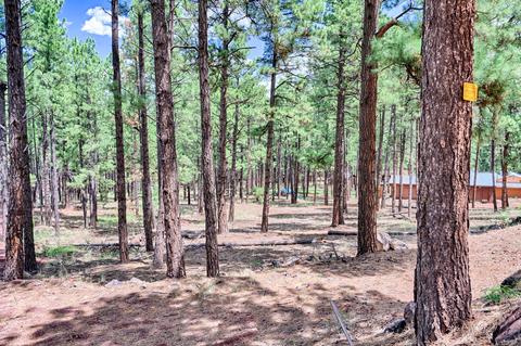 7719 E Long Bow Dr, Williams, AZ 86046 photo 1