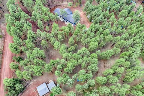 7719 E Long Bow Dr, Williams, AZ 86046 photo 7