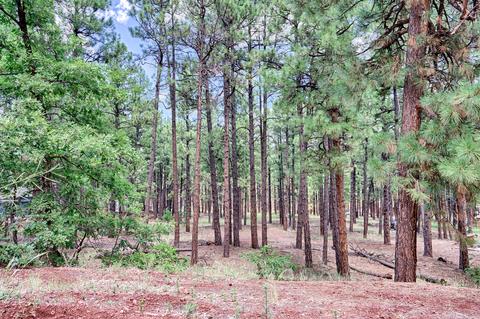 7719 E Long Bow Dr, Williams, AZ 86046 photo 2