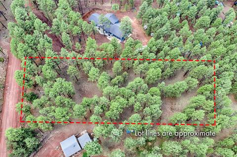 7719 E Long Bow Dr, Williams, AZ 86046 photo 6