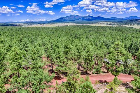 7719 E Long Bow Dr, Williams, AZ 86046 photo 3