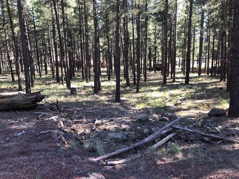 7156 E Robin Hood Rd, Williams, AZ 86046 photo 1