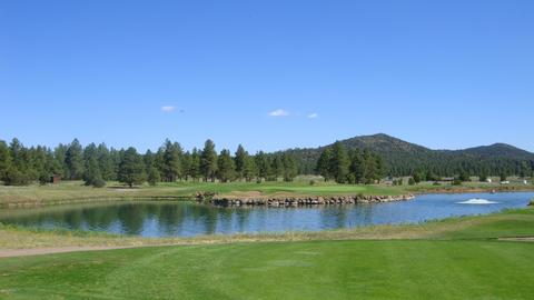 2855 W Burning Tree Drive Dr, Williams, AZ 86046 photo 29