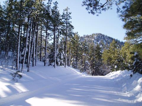 2855 W Burning Tree Drive Dr, Williams, AZ 86046 photo 33
