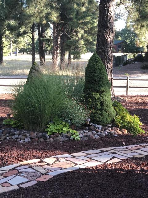 2855 W Burning Tree Drive Dr, Williams, AZ 86046 photo 4