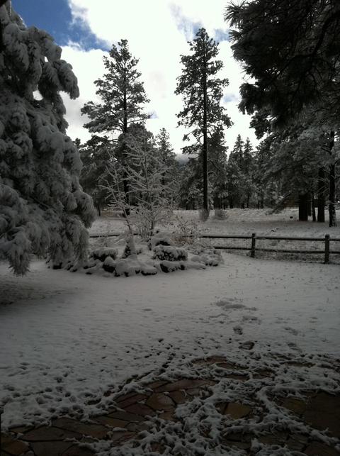 2855 W Burning Tree Drive Dr, Williams, AZ 86046 photo 32