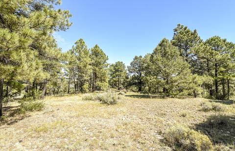 4257 E Broken Rock Loop, Flagstaff, AZ 86004 photo 2
