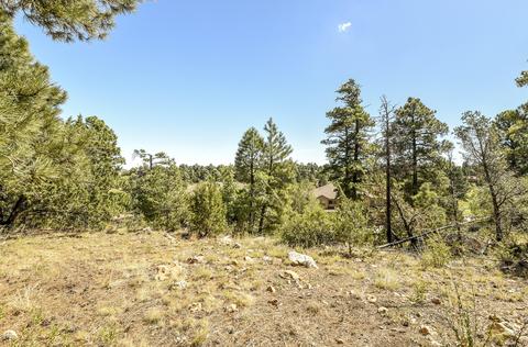 4257 E Broken Rock Loop, Flagstaff, AZ 86004 photo 3
