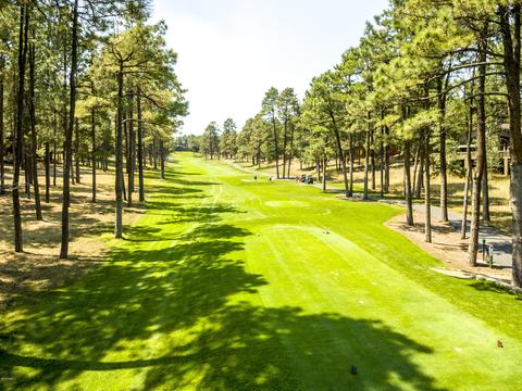 5500 E Mount Pleasant Dr, Flagstaff, AZ 86004 photo 26