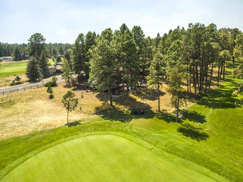 5500 E Mount Pleasant Dr, Flagstaff, AZ 86004 photo 12