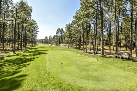 5500 E Mount Pleasant Dr, Flagstaff, AZ 86004 photo 10