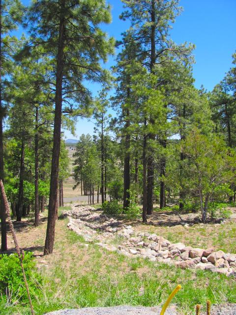 1020 Stone Hollow Loop, Williams, AZ 86046 photo 4