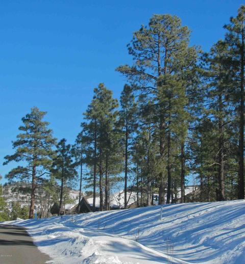 1020 Stone Hollow Loop, Williams, AZ 86046 photo 8