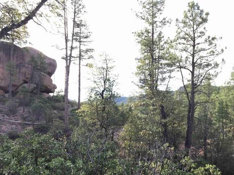 1906 E Phoenix St, Payson, AZ 85541 photo 4