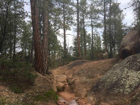 1906 E Phoenix St, Payson, AZ 85541 photo 11
