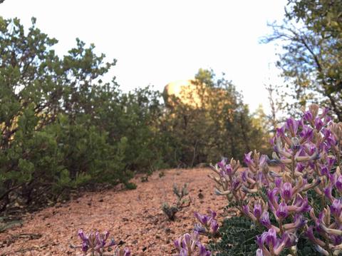 1906 E Phoenix St, Payson, AZ 85541 photo 2