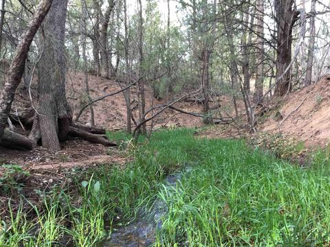 1906 E Phoenix St, Payson, AZ 85541 photo 5