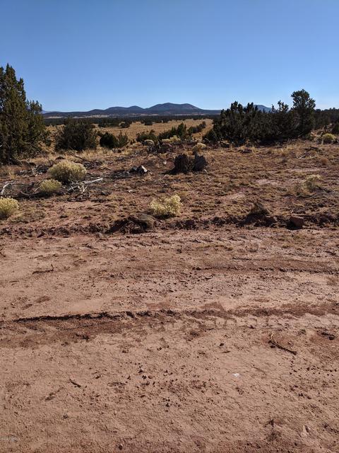 4827 E Lasso Loop, Williams, AZ 86046 photo 6