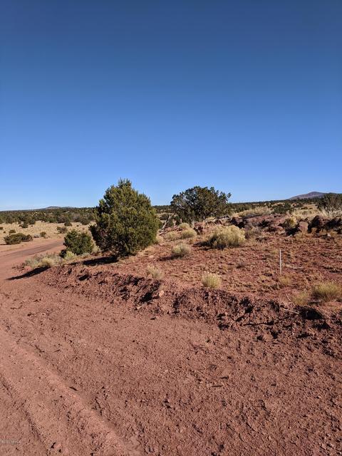 4827 E Lasso Loop, Williams, AZ 86046 photo 5
