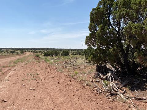 4980 E Lasso Loop Rd, Williams, AZ 86046 photo 7