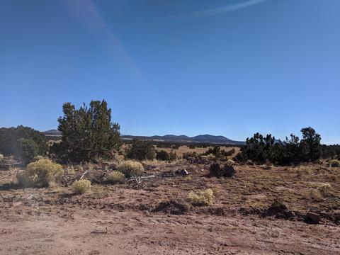 4980 E Lasso Loop Rd, Williams, AZ 86046 photo 4